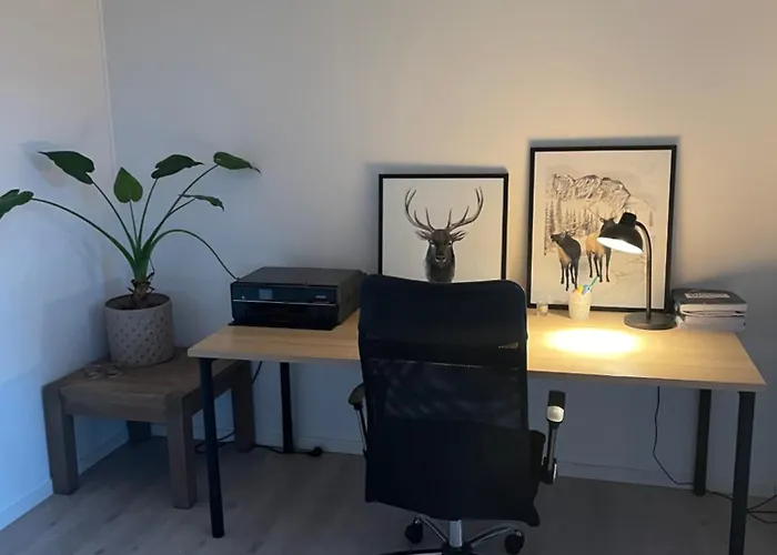 Fagerasen Terrasse Appartement *